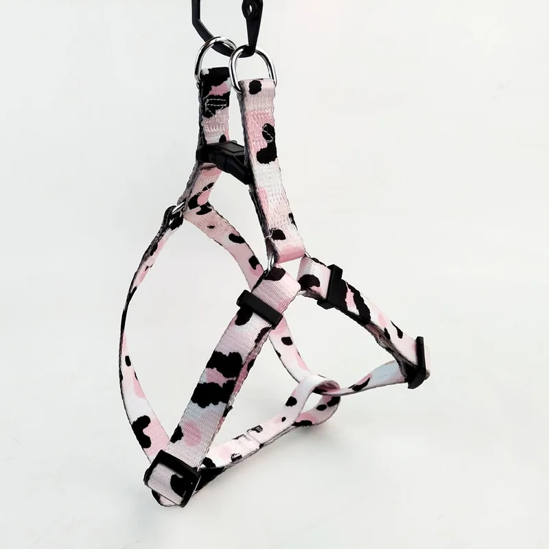 Design 01