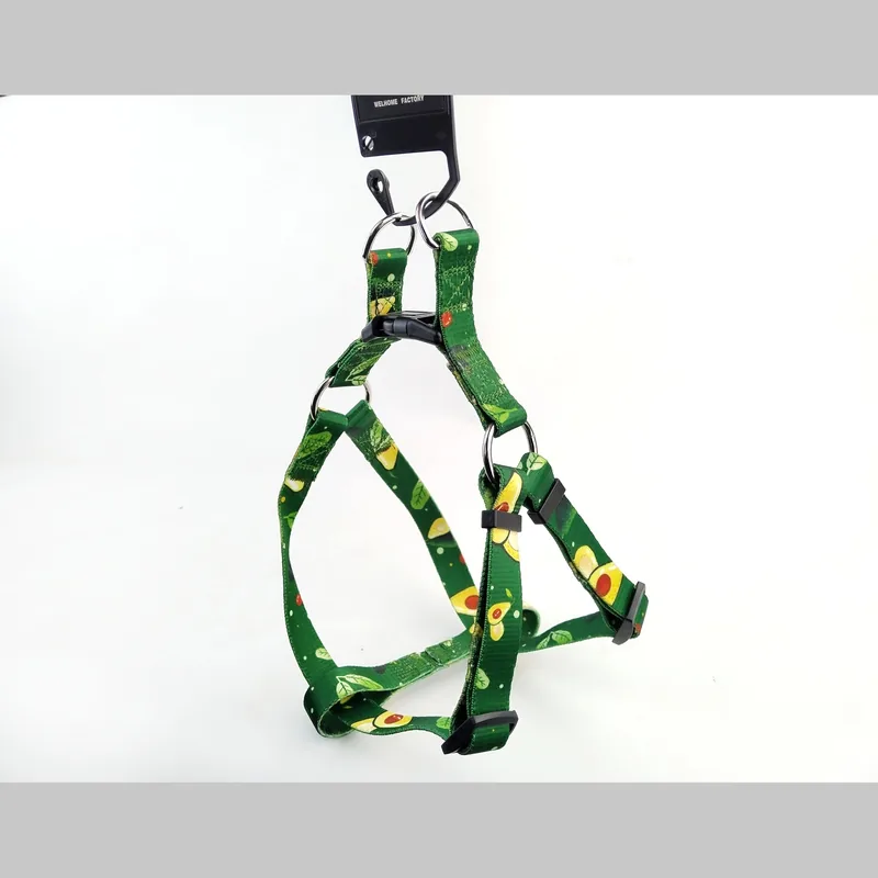 Design 05