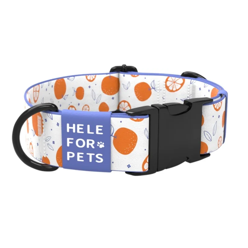 Orange / Blue / White / Citrus