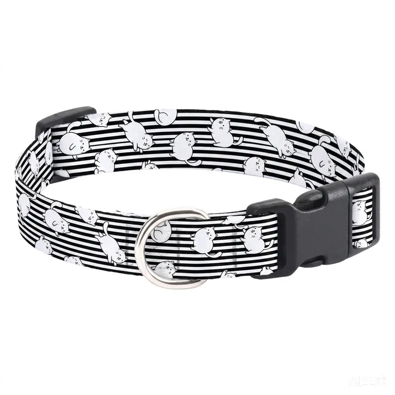 Black / White / Stripe