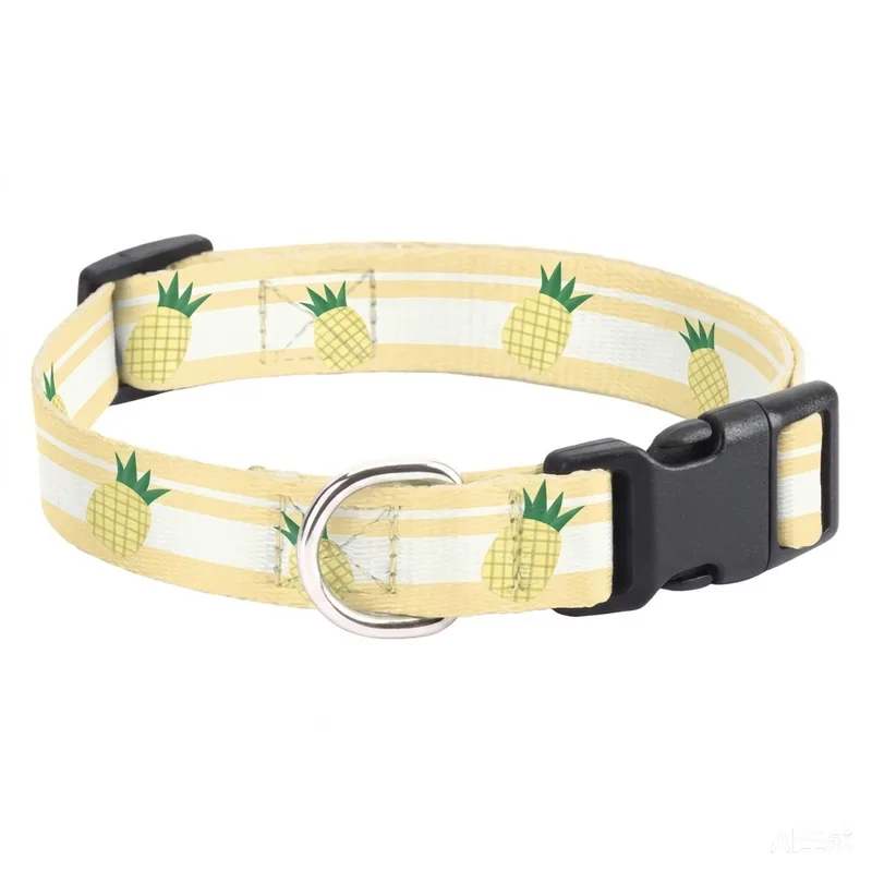 Yellow / White
