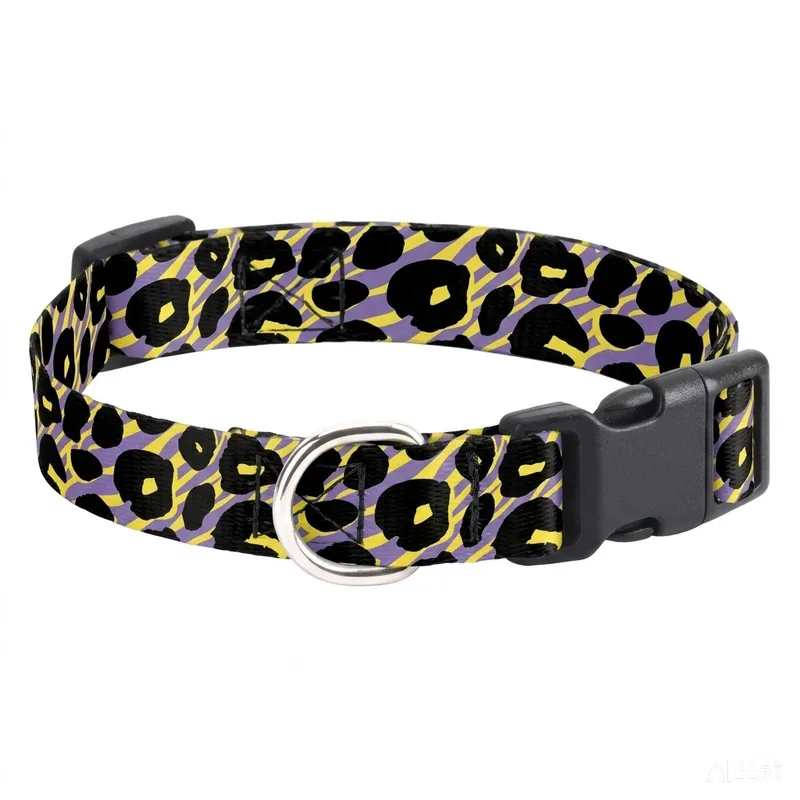 Yellow / Purple