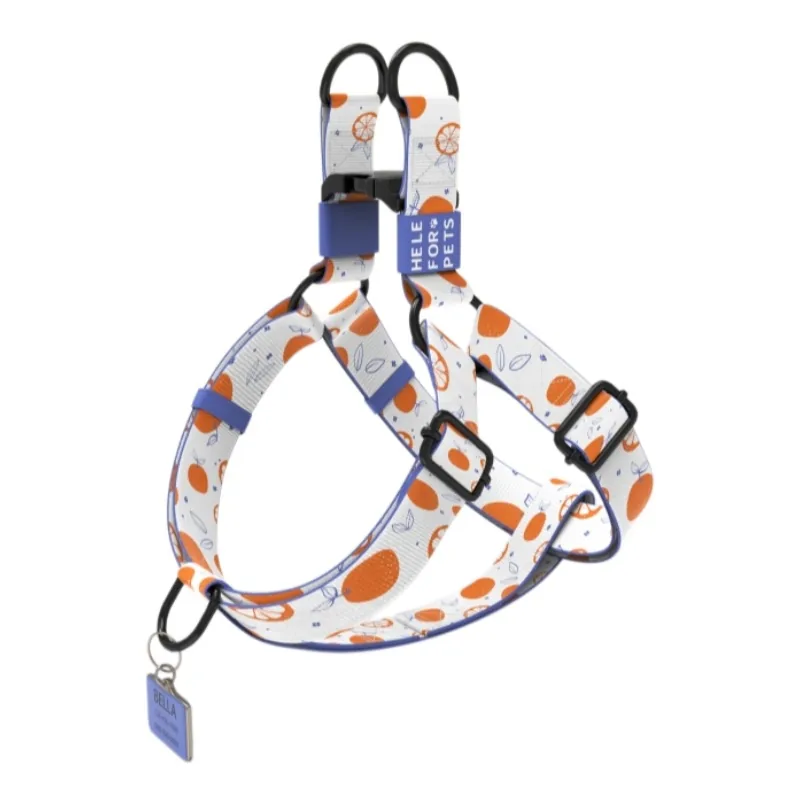 Navy / Orange / White / Citrus