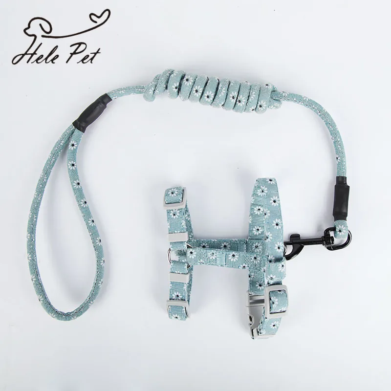 Light Blue / Blue