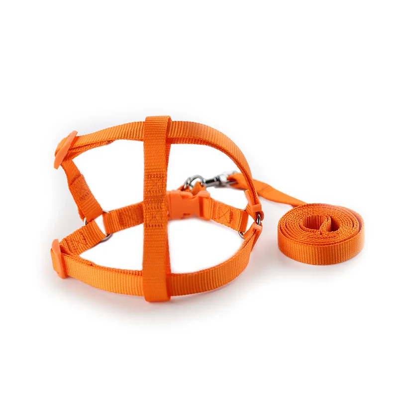 Orange / Yellow