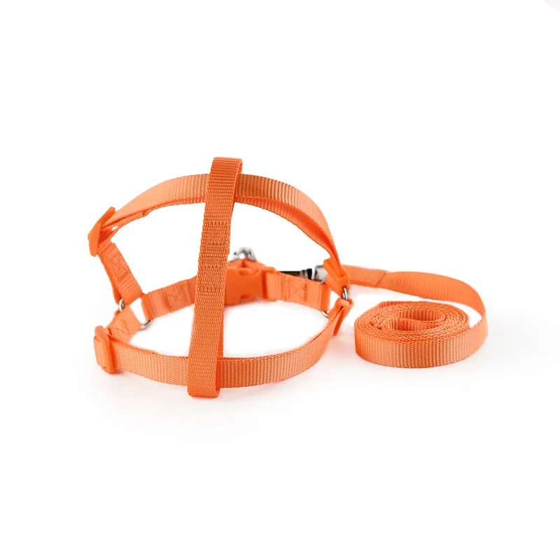 Orange / Yellow · 2