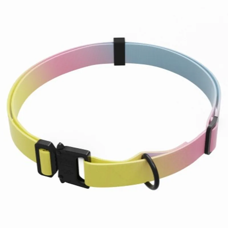 Yellow / Pink