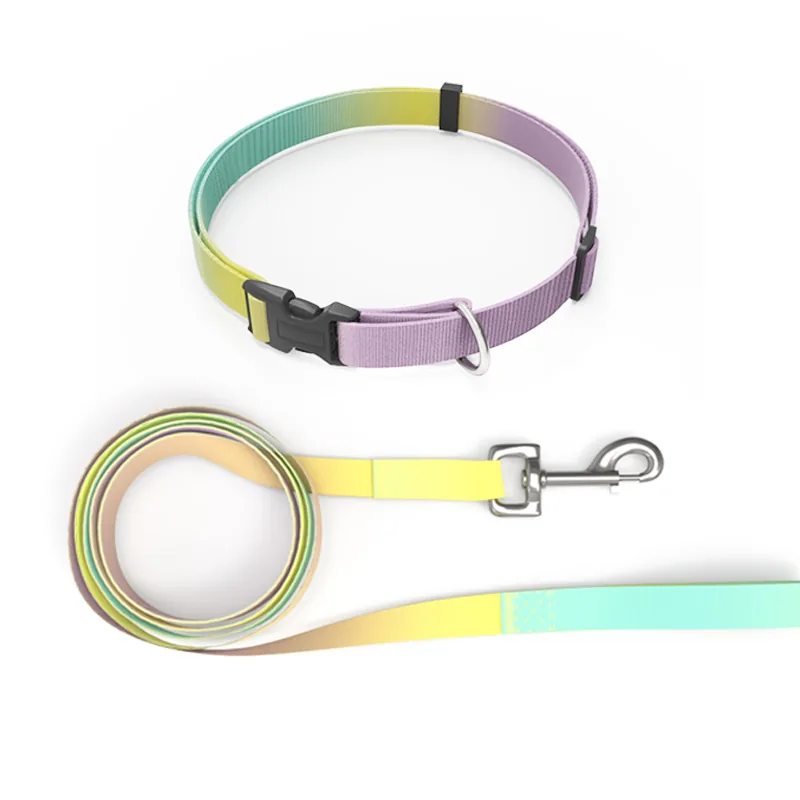 Yellow / Green / Purple