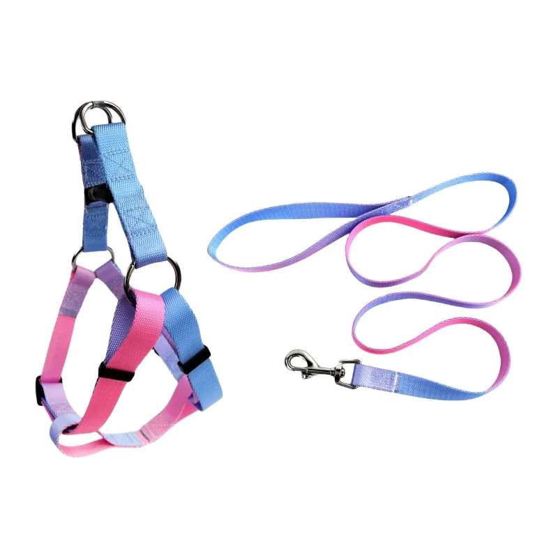 Light Blue / Pink
