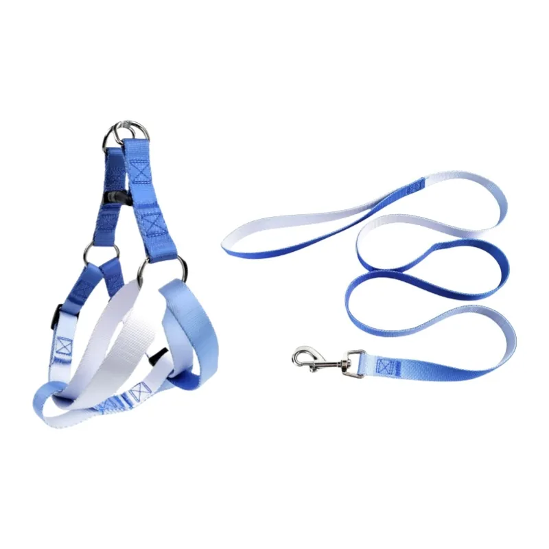 Light Blue / White