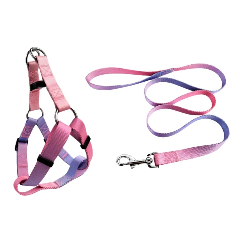 Purple / Pink