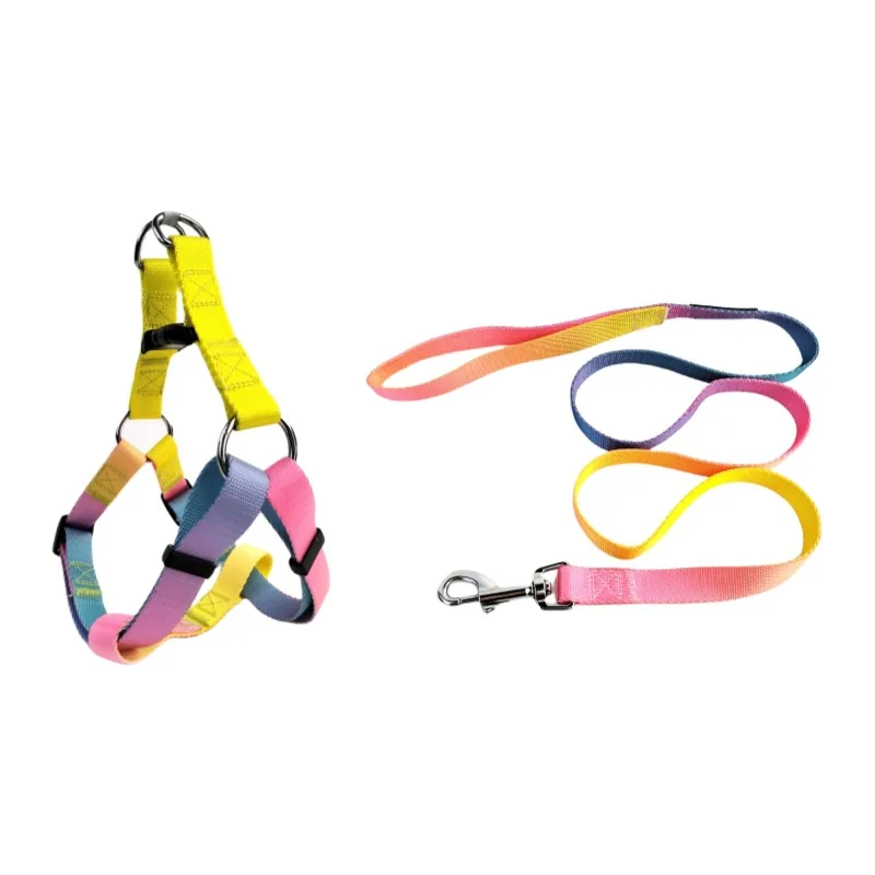 Design 06