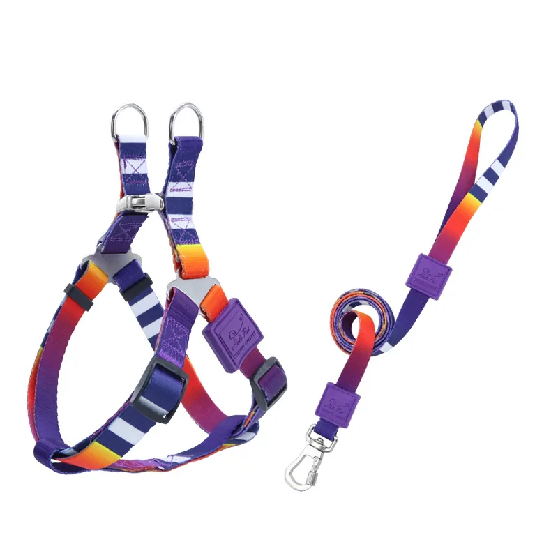 Design 01