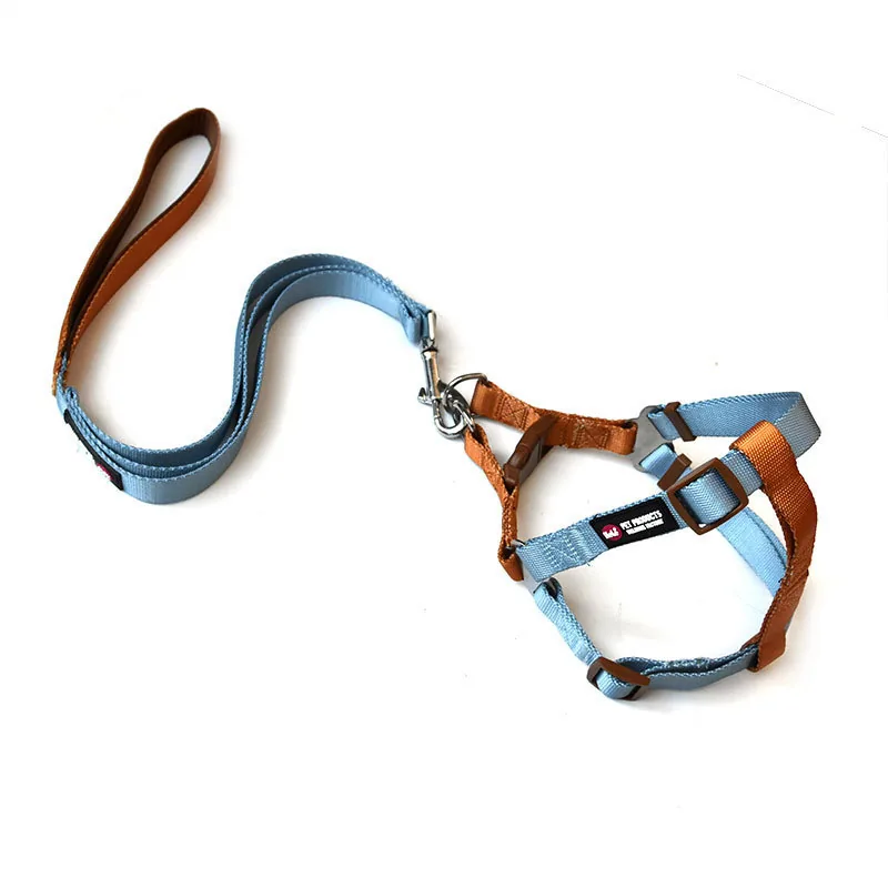 Light Blue / Brown