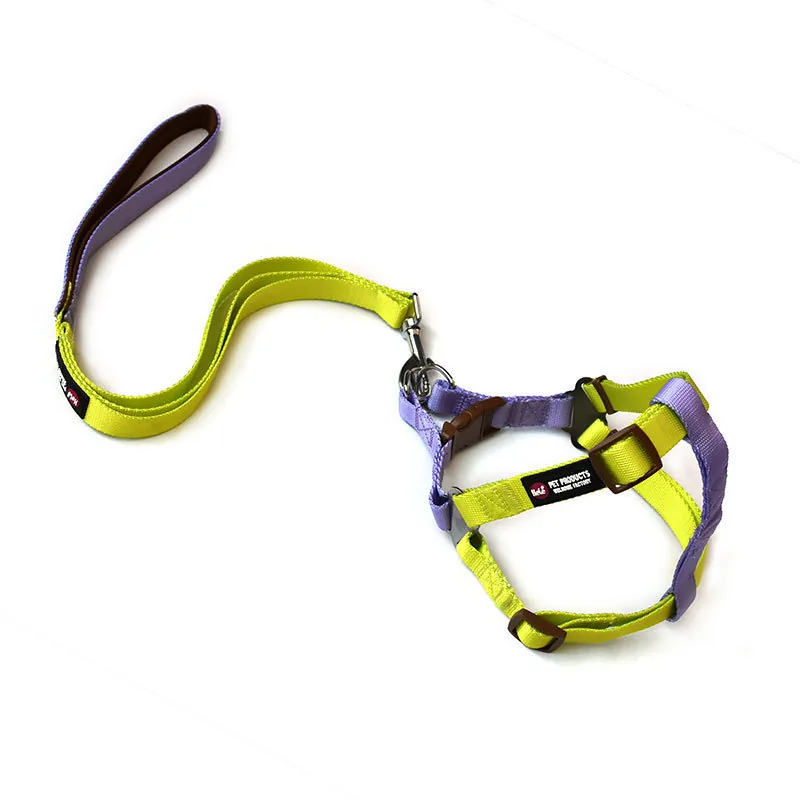 Yellow / Purple