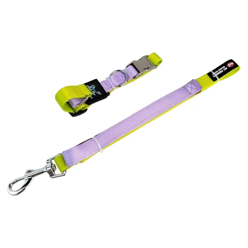 Yellow / Purple
