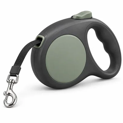 Charcoal retractable leash with a sage side panel, black tape and silver snap hook — AI-generated design reference