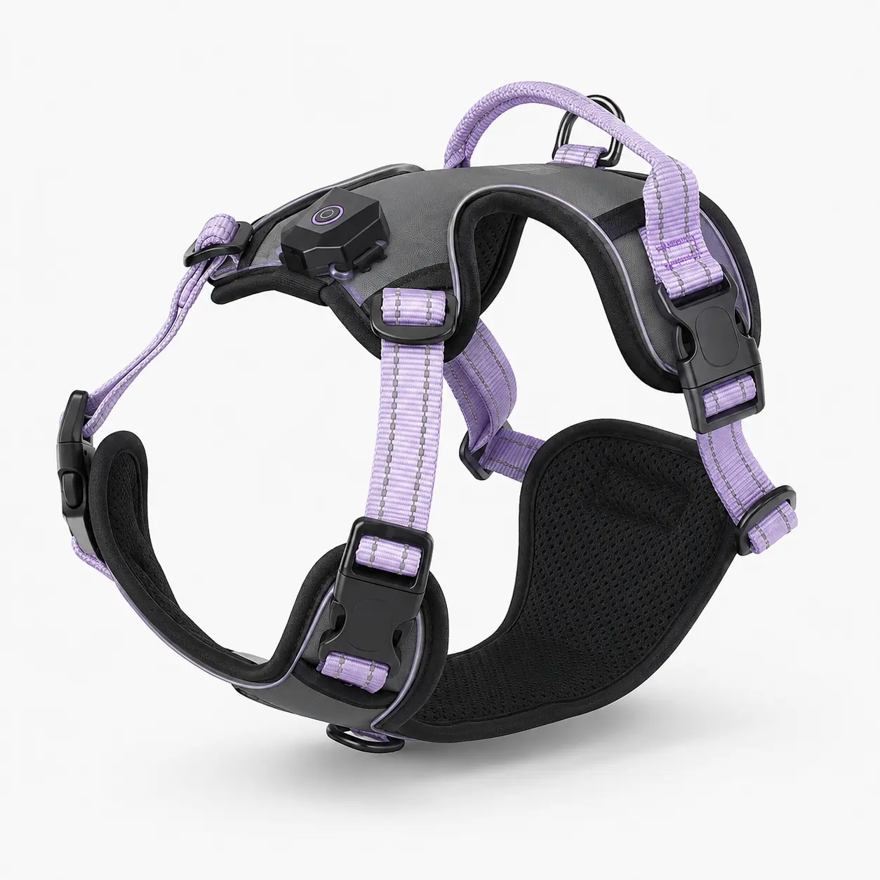 Feature-Led Outdoor Variant for OEM and private-label dog harness programs