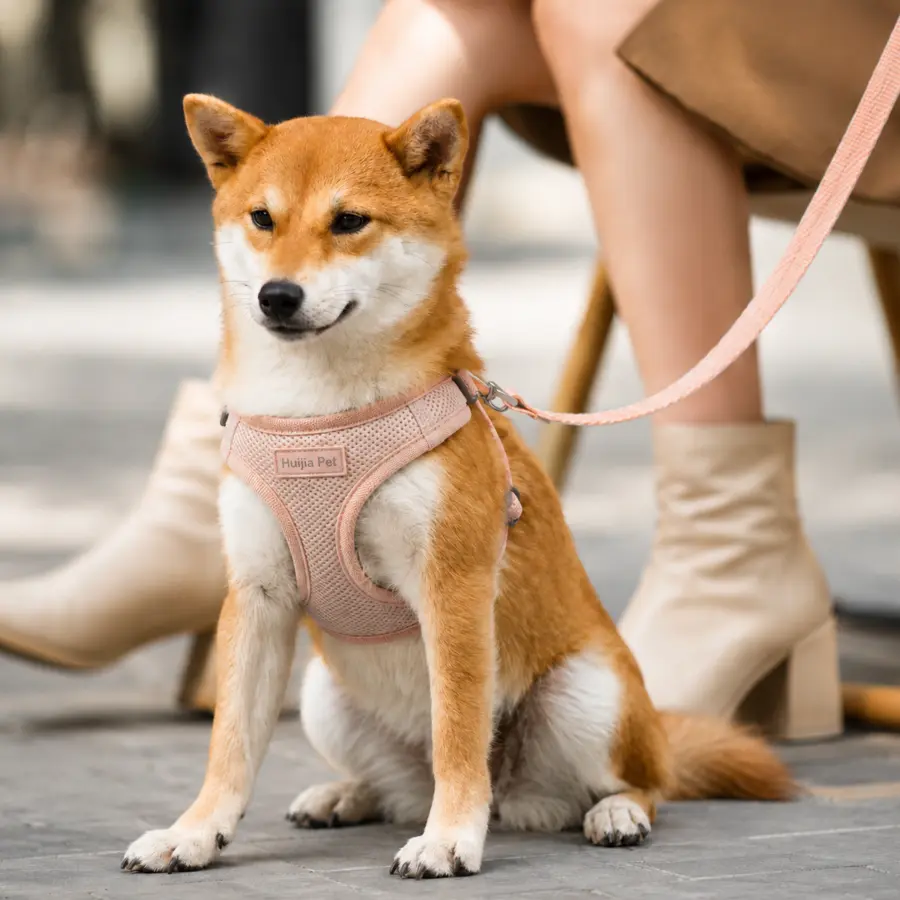 Pink mesh step-in vest dog harness for small dogs and private-label pet brands