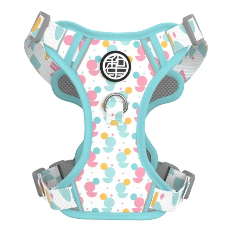 Macaron circle print padded adjustable dog harness with aqua trim