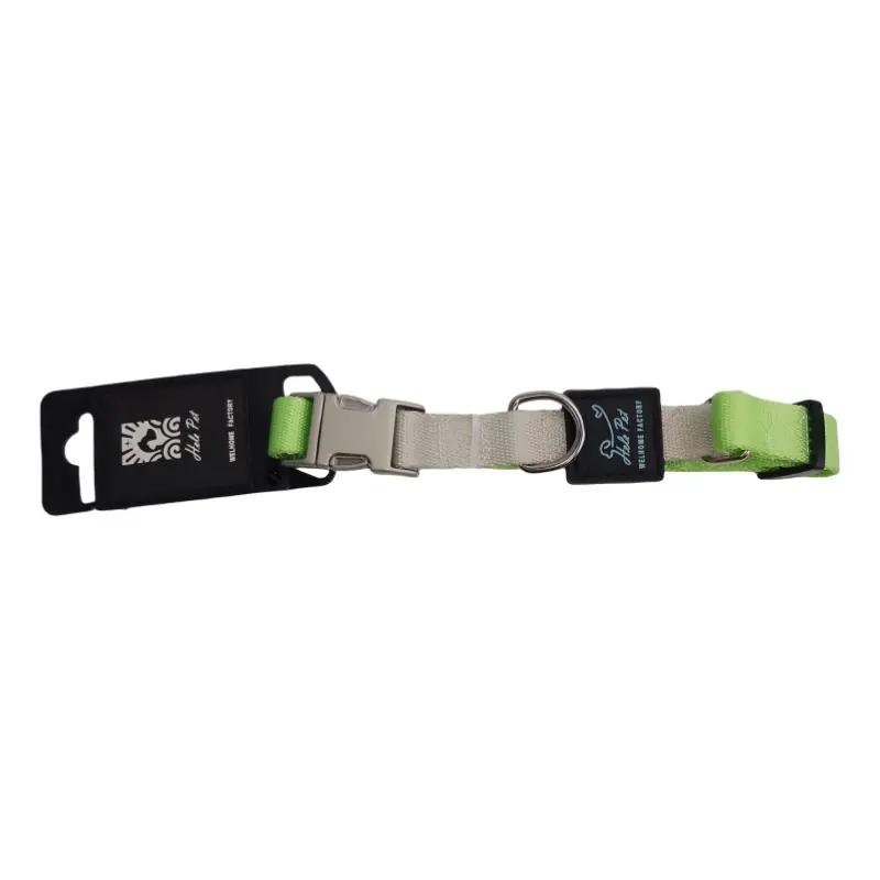 Green / Silver two-tone metal buckle dog collar thumbnail