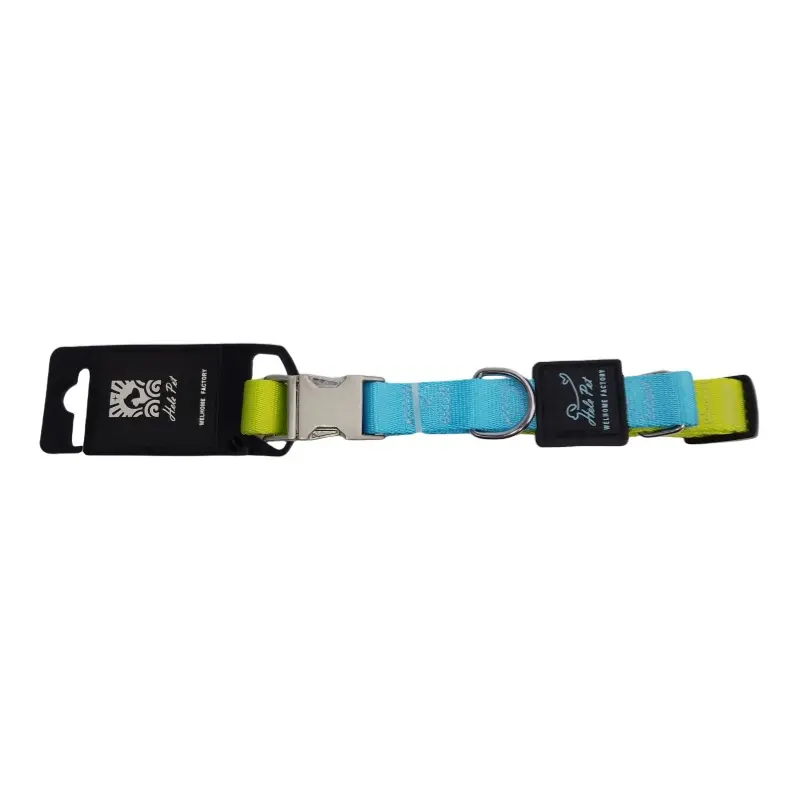 Lime / Sky Blue two-tone metal buckle dog collar thumbnail