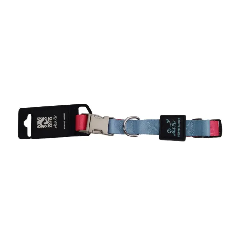 Magenta / Light Blue two-tone metal buckle dog collar thumbnail
