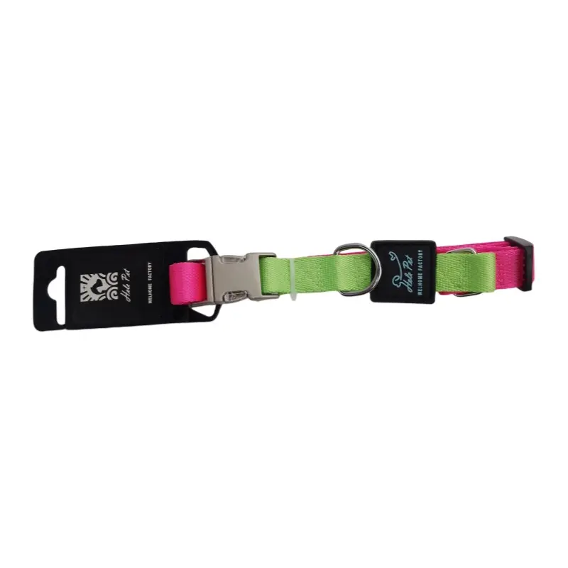 Pink / Green two-tone metal buckle dog collar thumbnail