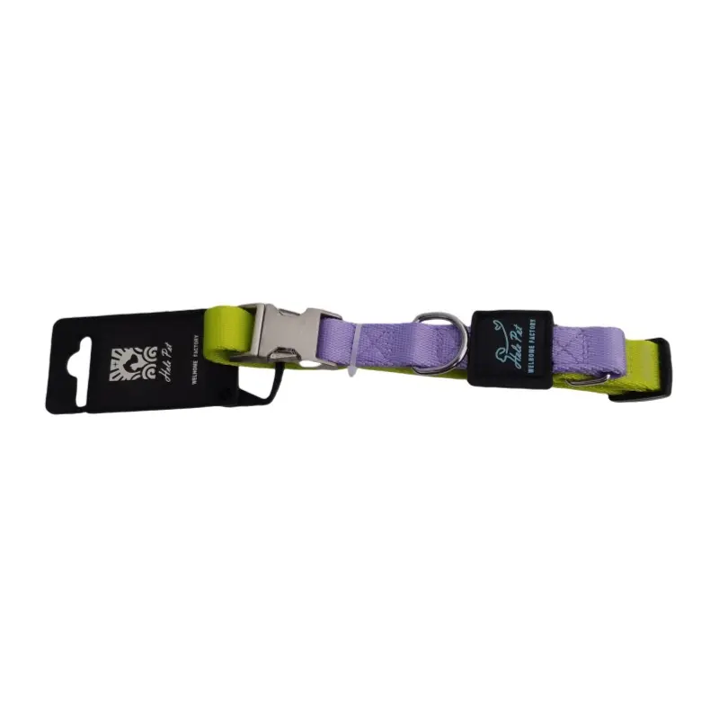 Yellow / Purple two-tone metal buckle dog collar thumbnail