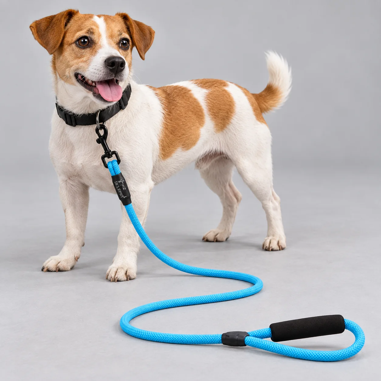 Bungee Rope Dog Leash — on-pet product visualization