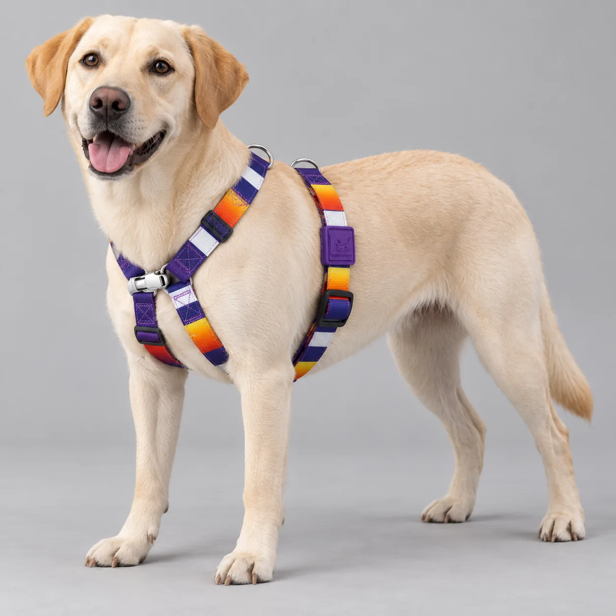 Printed H-Style Adjustable Dog Harness — on-pet product visualization