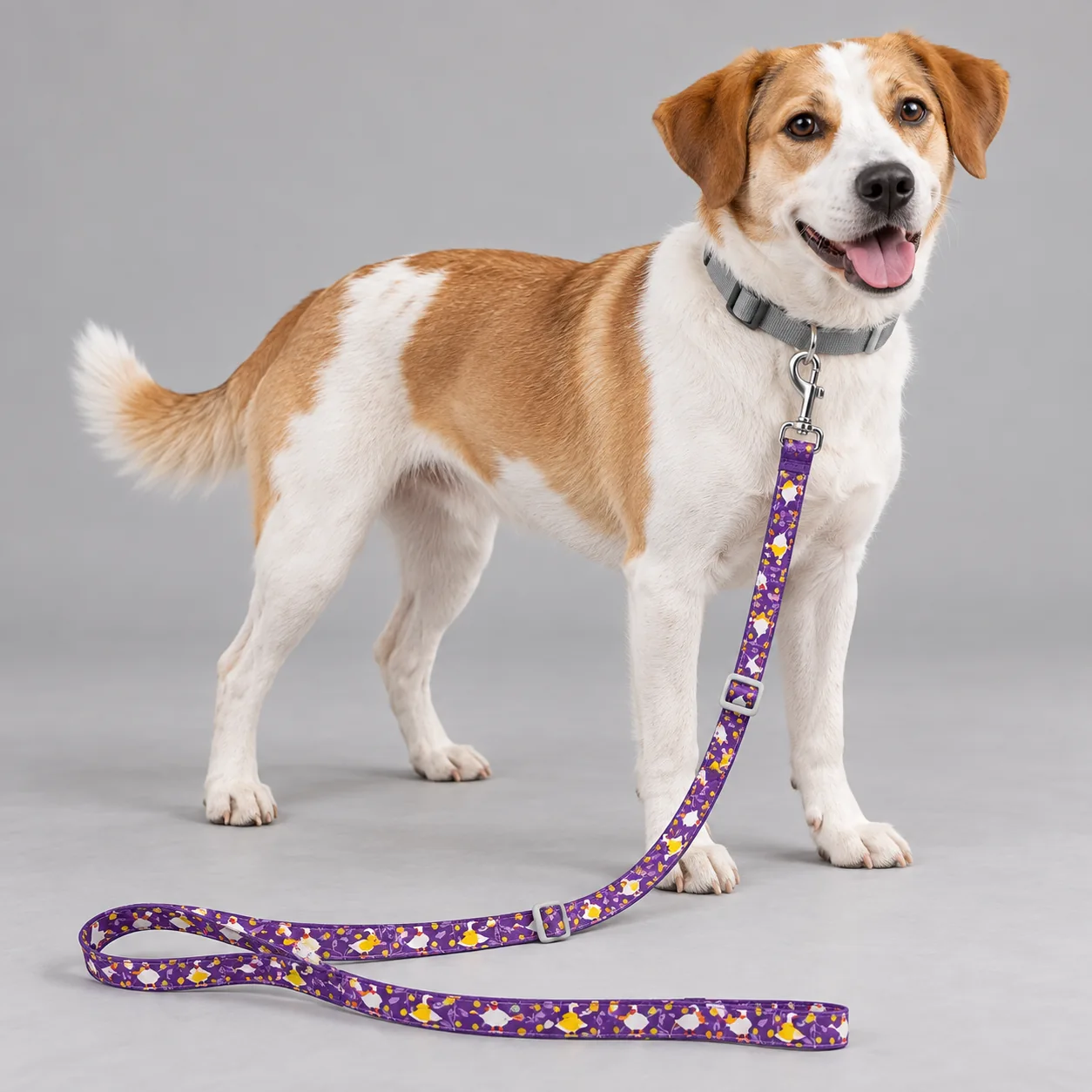 Adjustable 2 m Printed Dog Leash — on-pet product visualization
