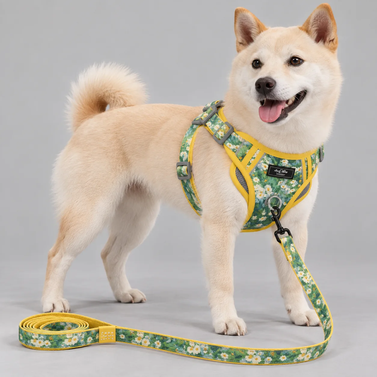 Art Print Mesh Dog Harness and Leash Set — on-pet product visualization