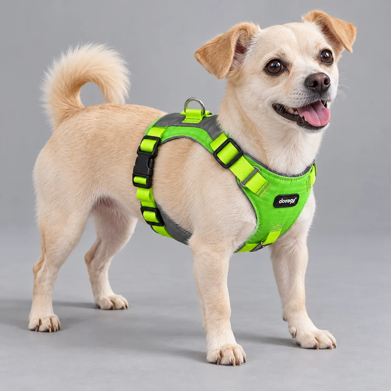 Breathable Outdoor Vest Dog Harness — on-pet product visualization