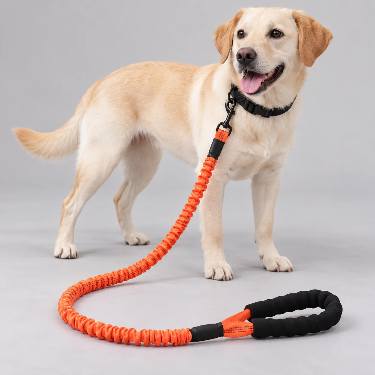 Bungee Dog Leash with Foam Handle — on-pet product visualization