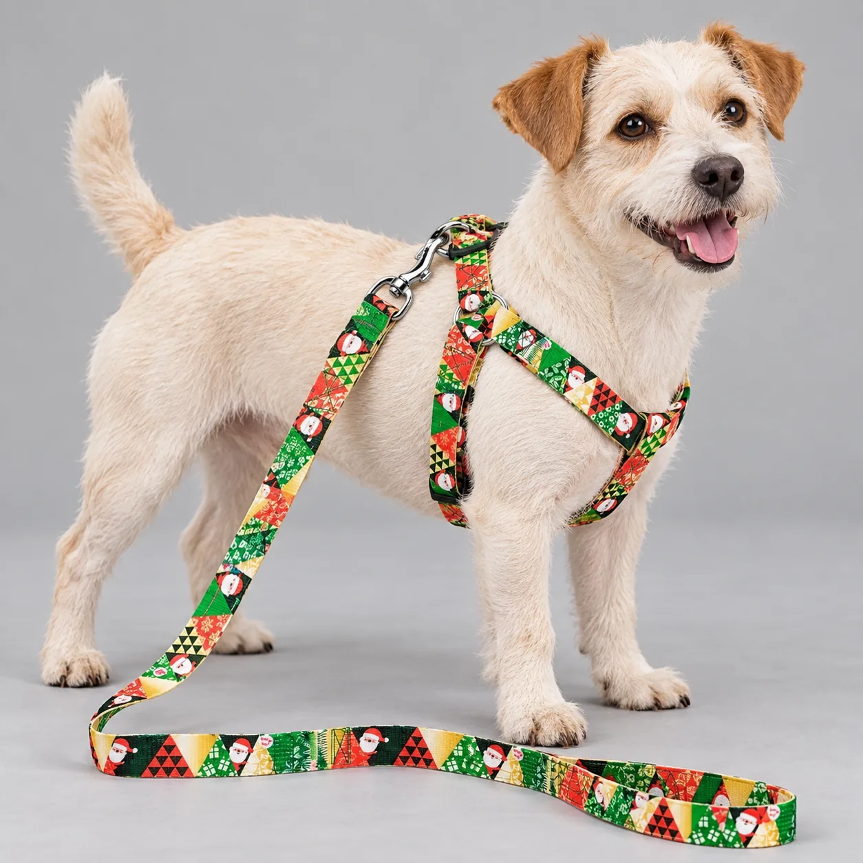 Cartoon and Holiday Dog Harness and Leash Set — on-pet product visualization