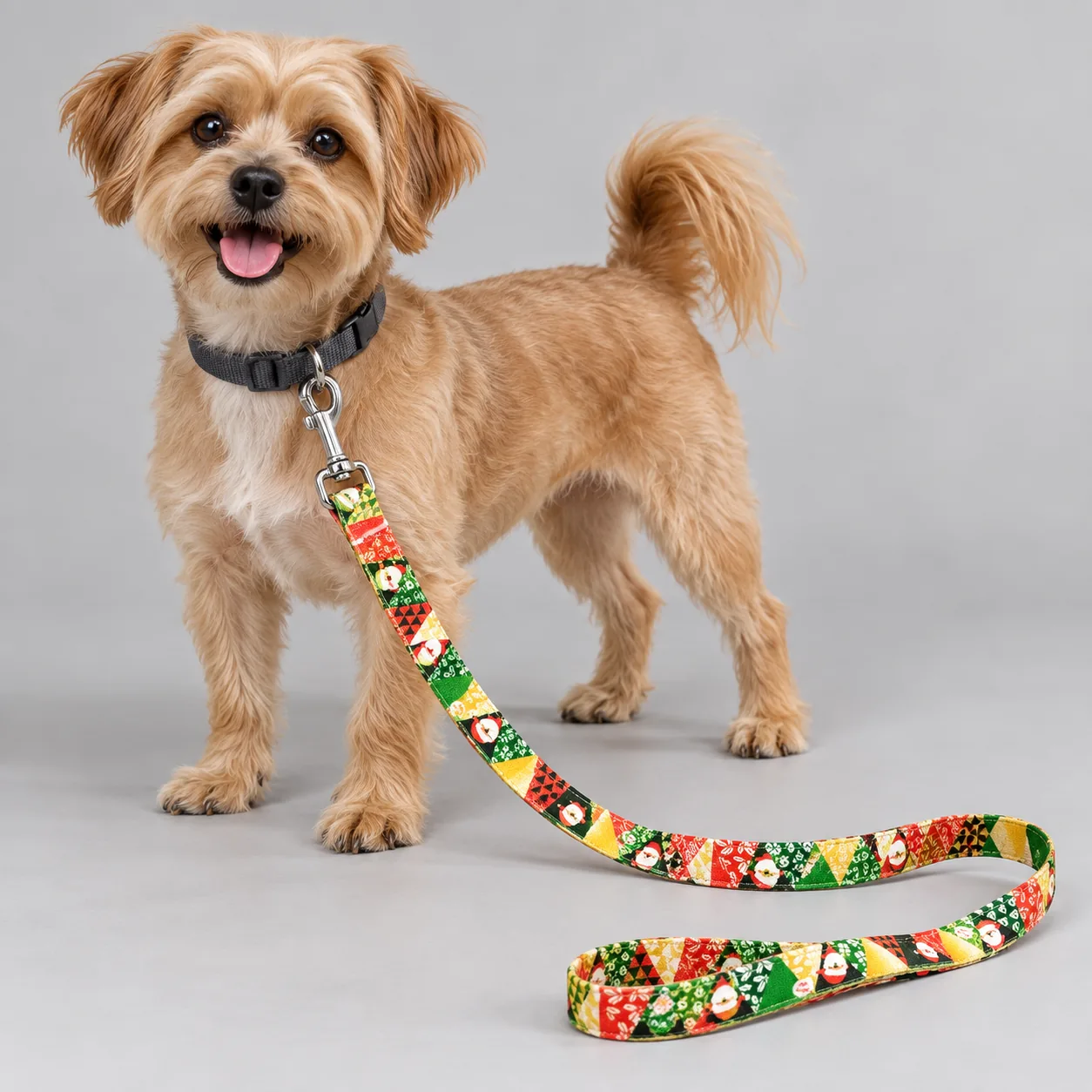 Cartoon and Holiday Printed Dog Leash — on-pet product visualization