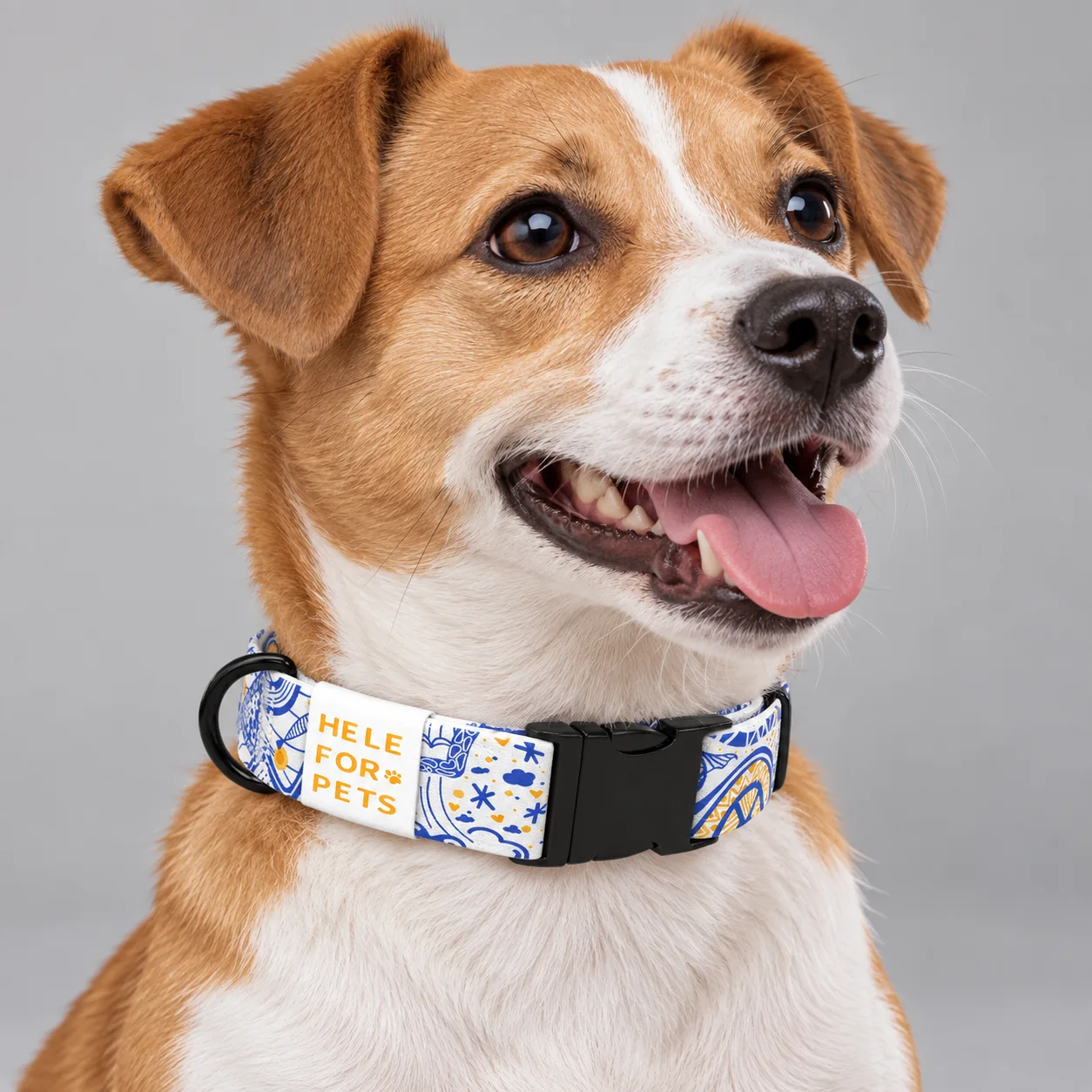 Cartoon Pattern Dog Collar Collection — on-pet product visualization