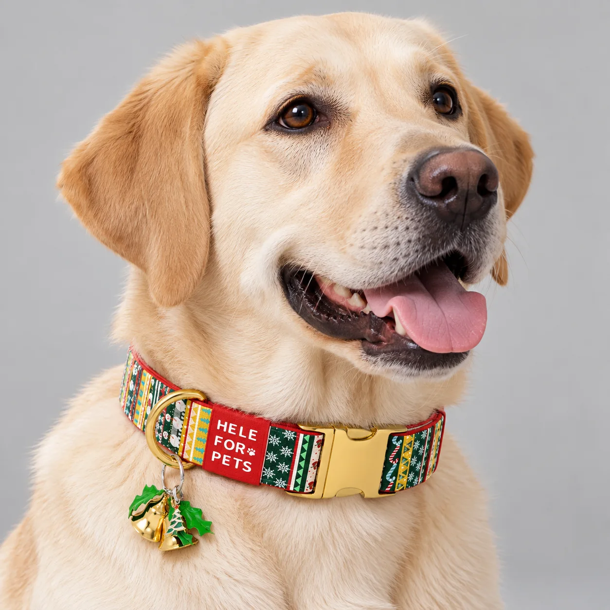 Christmas Printed Dog Collar — on-pet product visualization