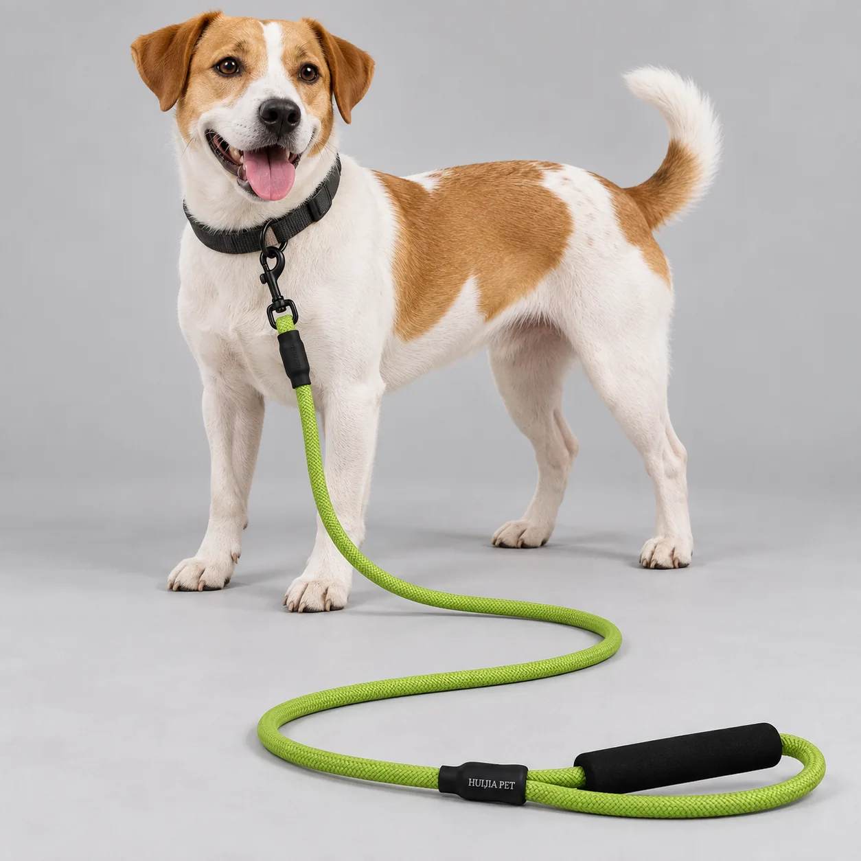 EVA Foam Handle Rope Dog Leash — on-pet product visualization