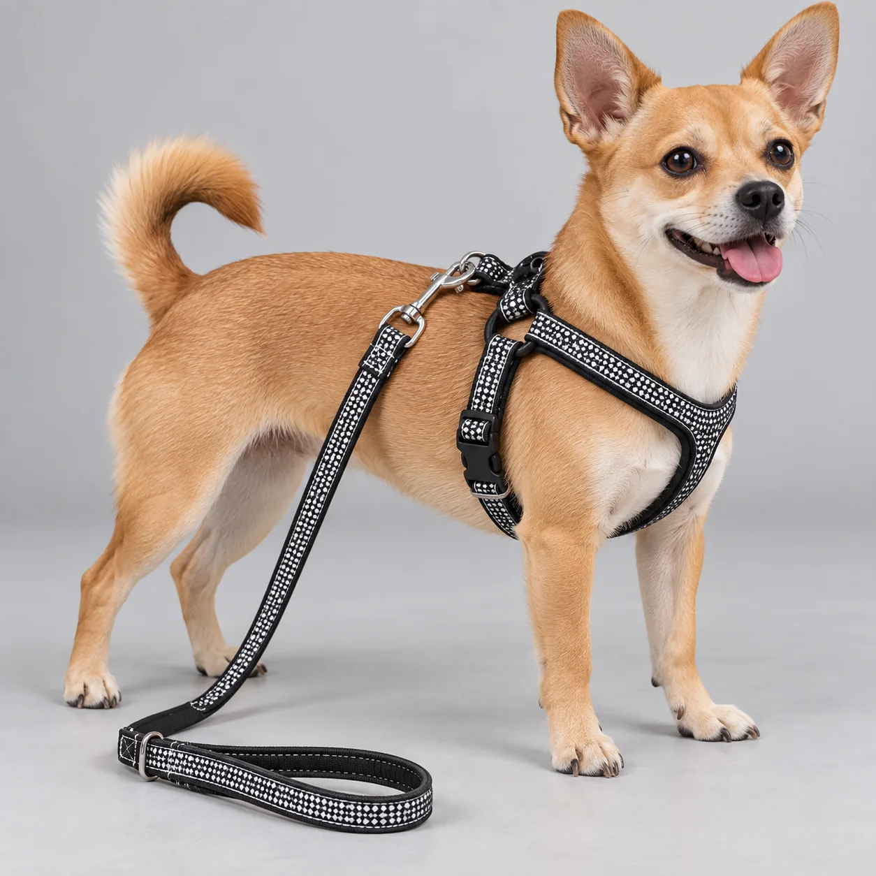 Fabric Overlay Dog Harness and Leash Set — on-pet product visualization
