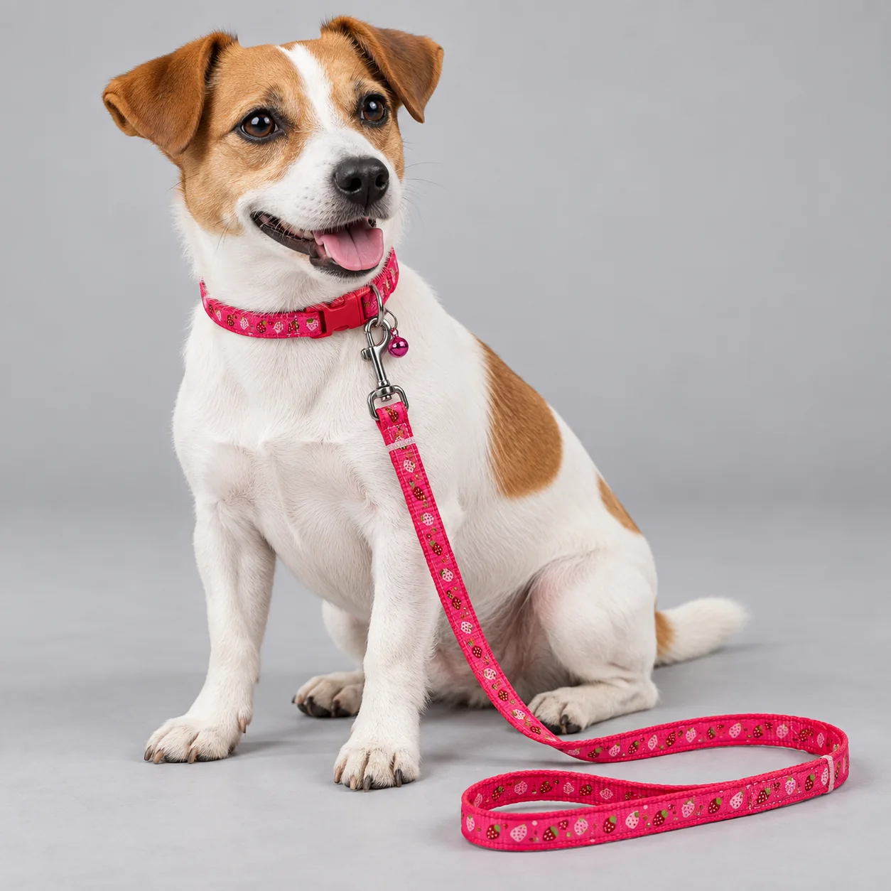 Fabric Print Dog Collar and Leash Collection — on-pet product visualization