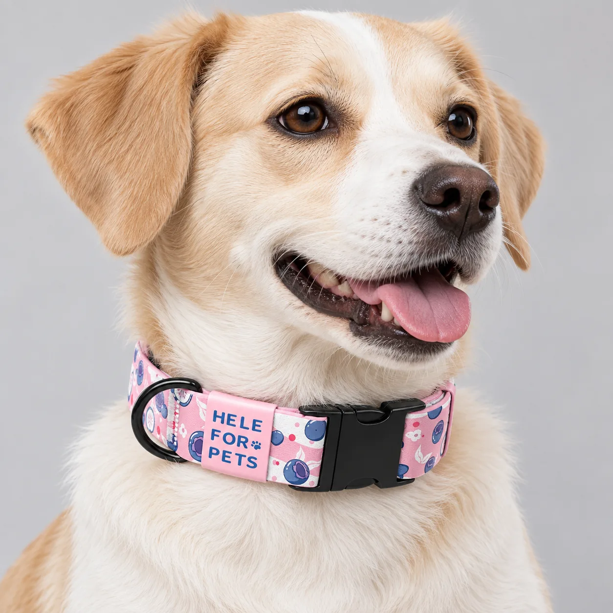 Fashion Printed Adjustable Dog Collar — on-pet product visualization