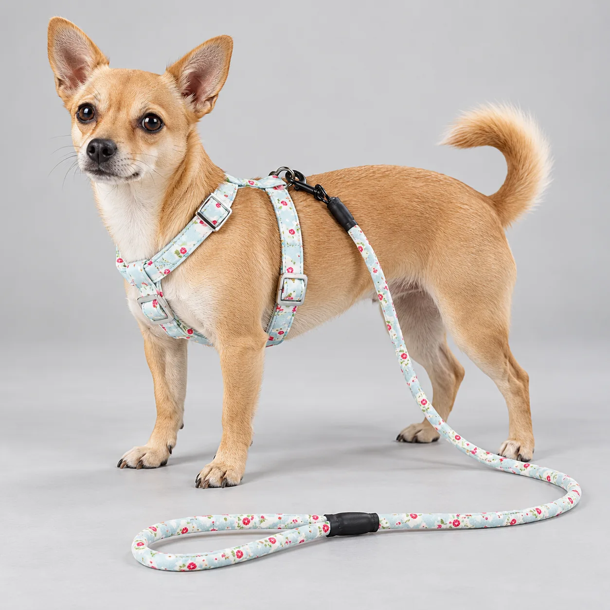 Floral H-Style Dog Harness and Leash Set — on-pet product visualization