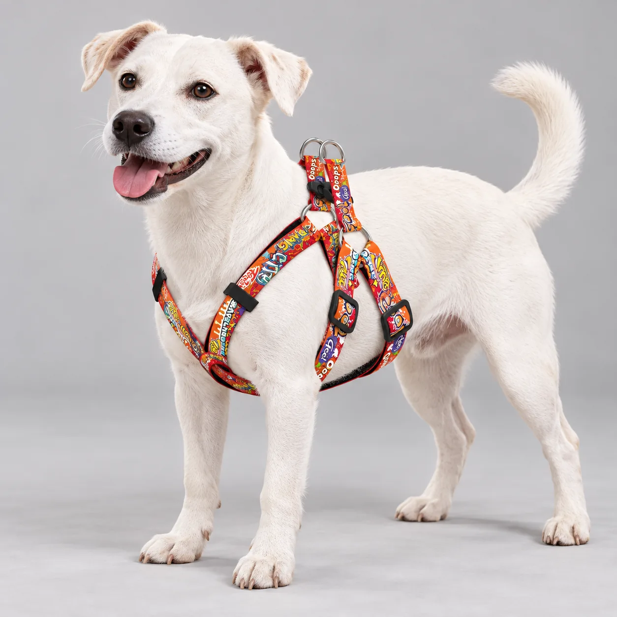 Graffiti Print Adjustable Dog Harness — on-pet product visualization