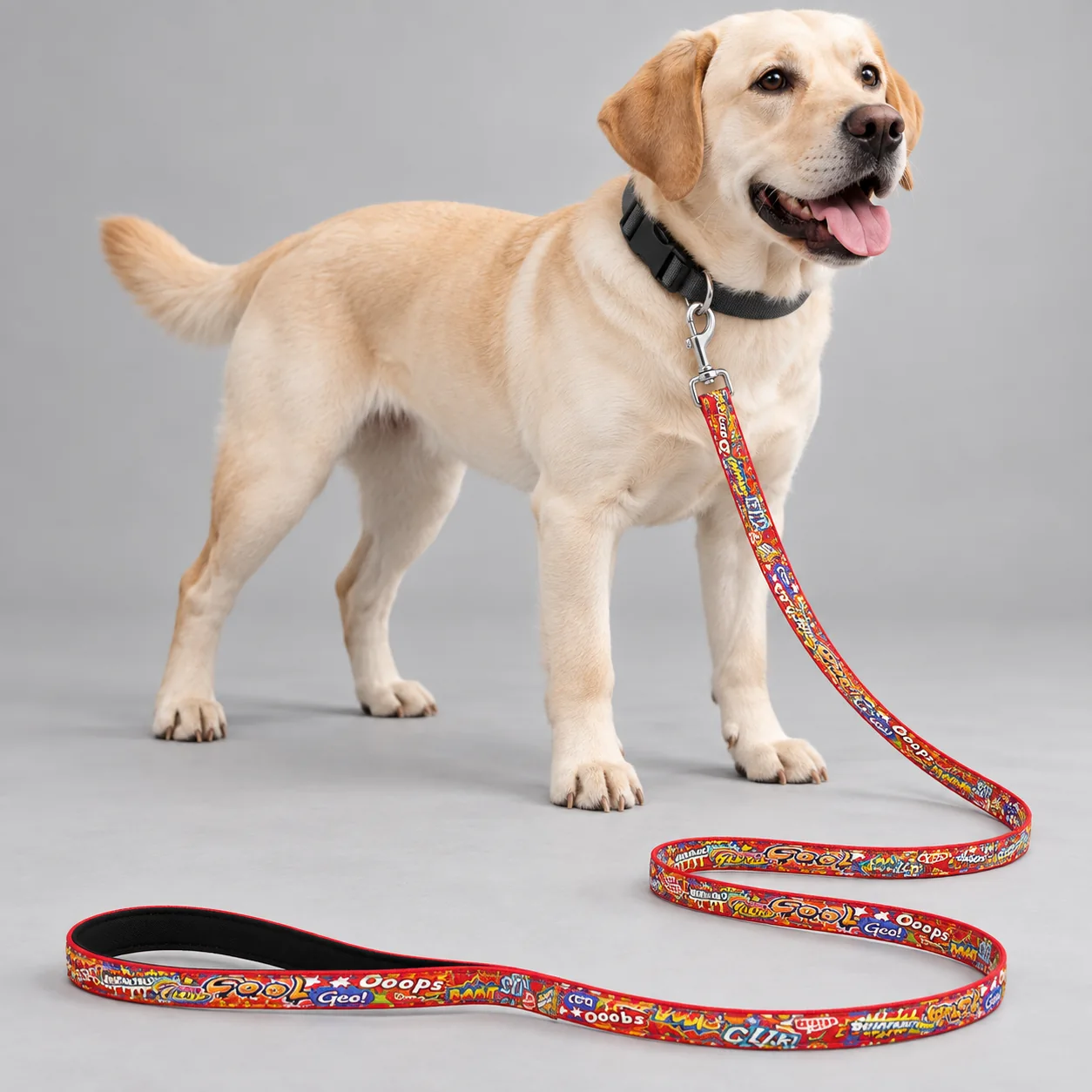 Graffiti Print Dog Leash — on-pet product visualization