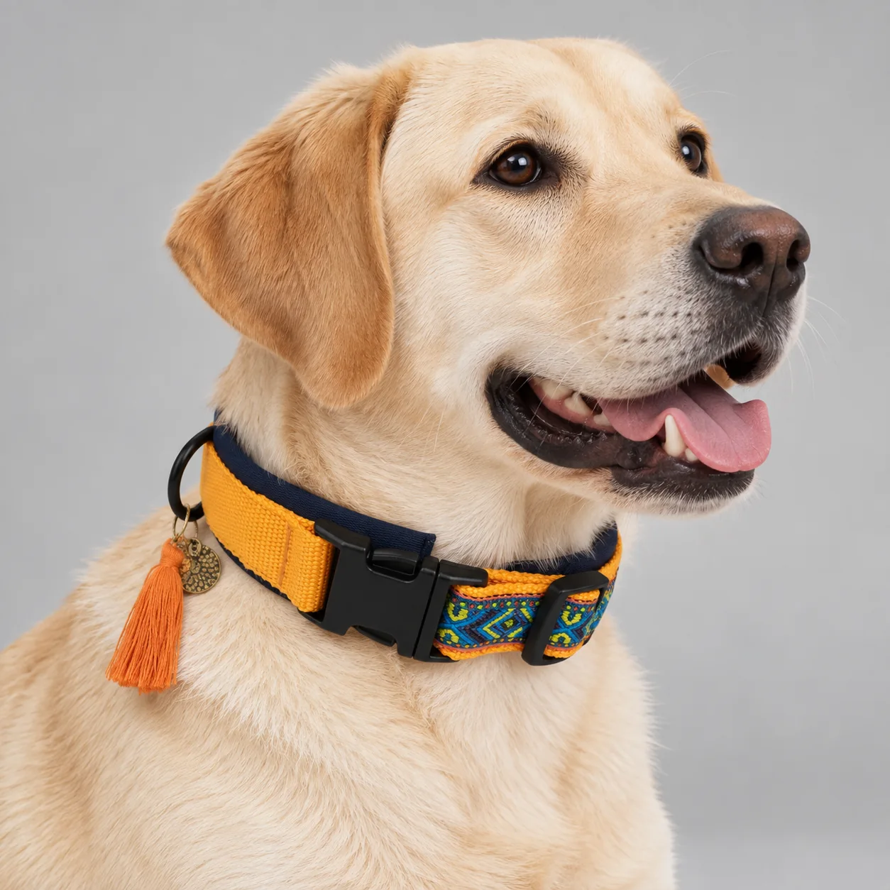 Jacquard Padded Dog Collar — on-pet product visualization