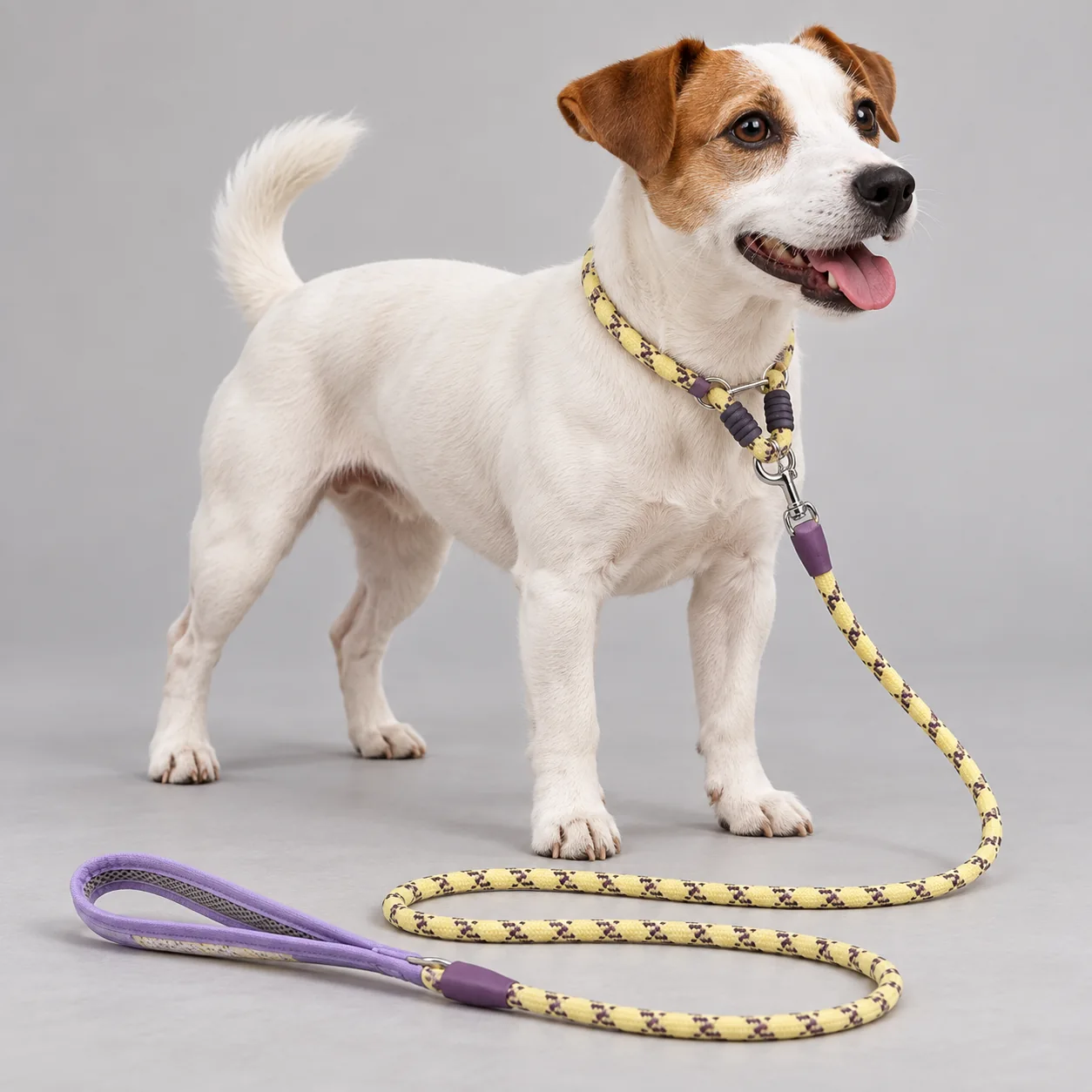Patterned Rope Collar and Leash Set — on-pet product visualization