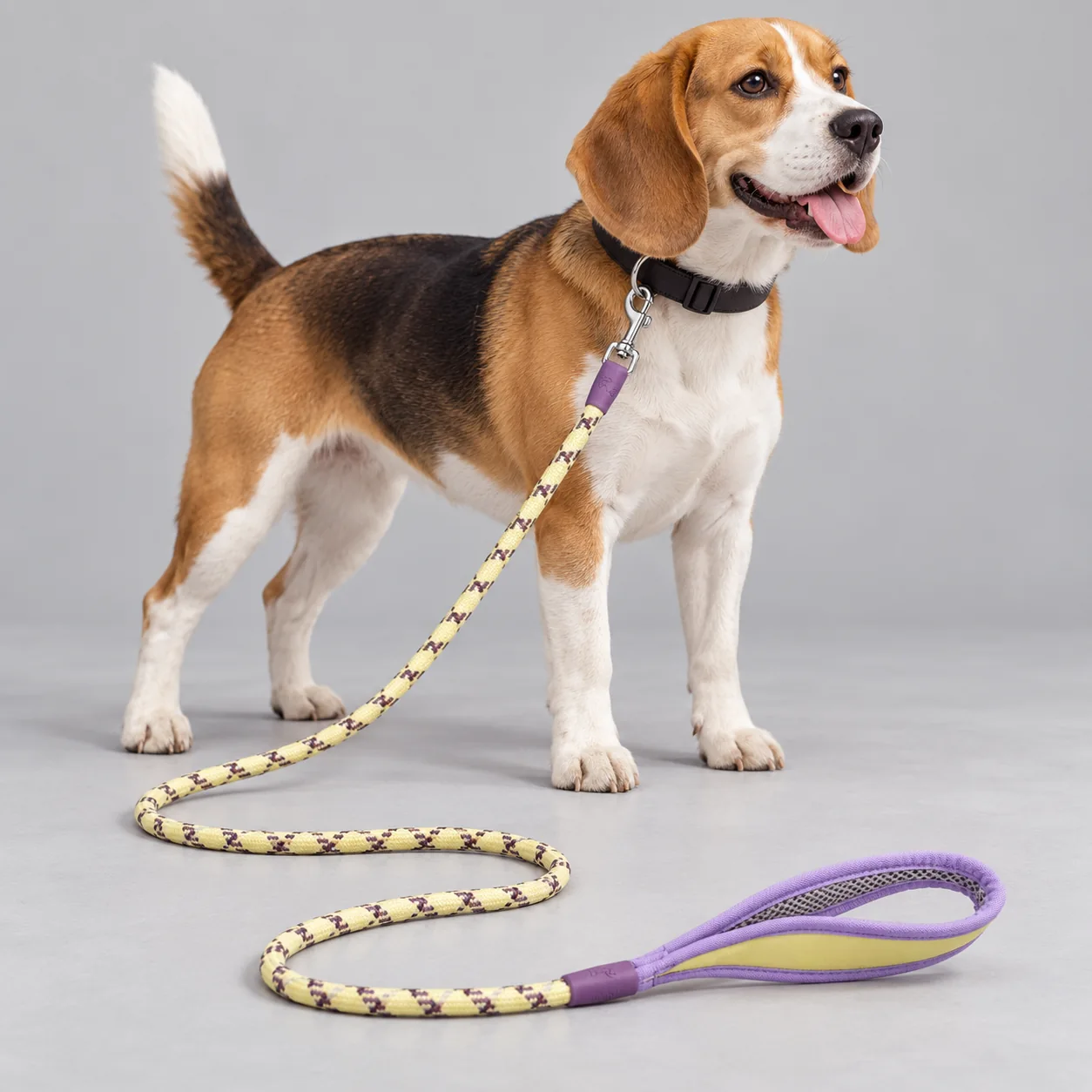 Patterned Rope Dog Leash with Foam Grip — on-pet product visualization