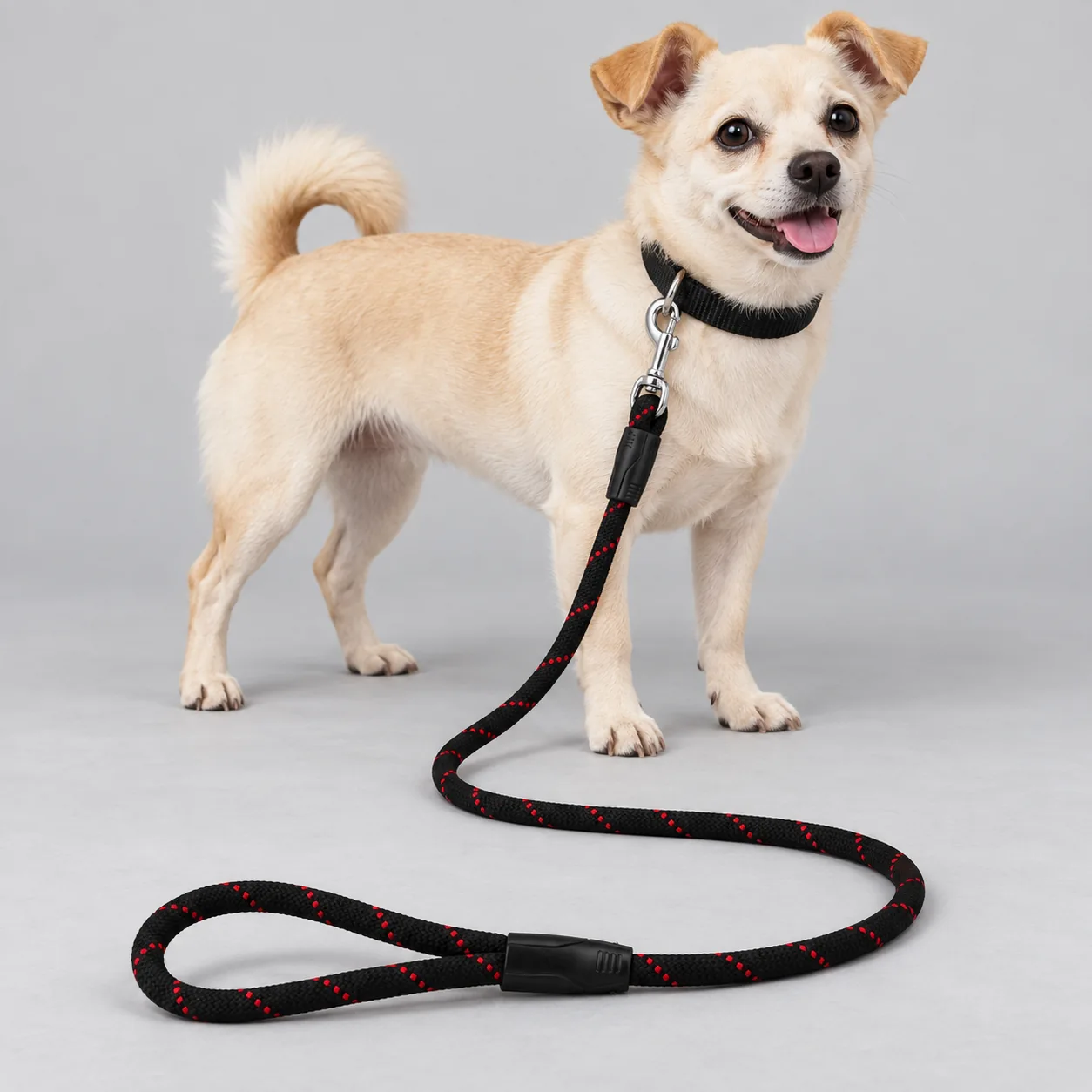 Patterned Solid-Core Rope Dog Leash — on-pet product visualization